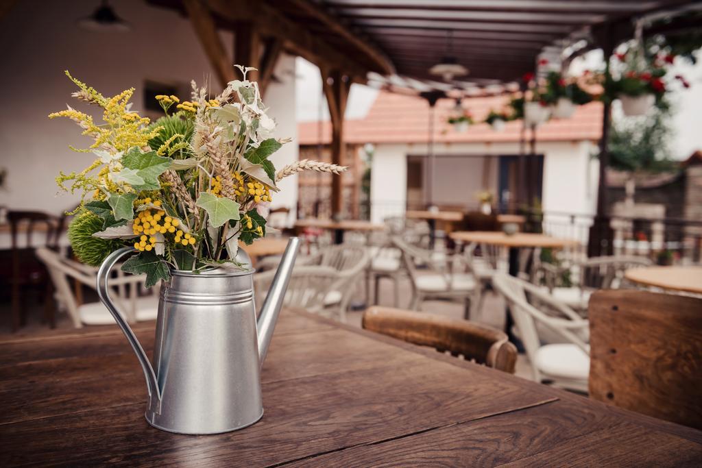 Pension Zwicker Presov Exterior photo